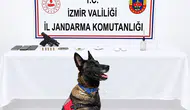Bademler’de jandarma operasyonu: Hem uyuşturucu hem de hapis cezası çıktı