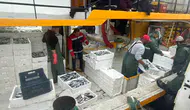 Didim’de hamsi avına sıkı takip: Ekipler denetimlerini artırdı