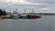 Aliağa'da deniz küstü: Poyraz balıkçıları kıyıya hapsetti