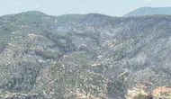 Fethiye'de orman yangını felaketi: Yemyeşil doğa yerini gri bir sessizliğe bıraktı