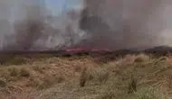 Denizli'de korkutan tarla yangını: Ekipler rüzgarla mücadele ediyor