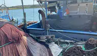 Didim'de deniz ekosistemi için kritik mesai: Ağlar tek tek incelendi