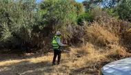 Bodrum’da alevlere karşı yeşil önlem: Binlerce metrekarelik alan temizlendi