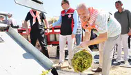 Menemen’de bağlar dile geldi: 18 bin tonluk bereket sofralara taşınıyor