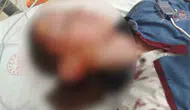Köpek saldırısı sonrası mahkemeden ağır fatura: Hayvan sahiplerine emsal uyarı