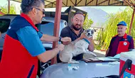 Çay ilçesinde minik dostlar için sağlık seferberliği: Kayıt altına alınıyorlar