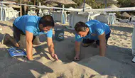 Bodrum'un kumsallarında mucizevi anlar: 62 minik yaşam mavi sulara kavuştu