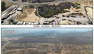 İzmir ormanlarında hummalı hazırlık: 1 milyon fidan toprakla buluşmaya hazır