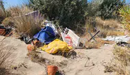 Altınkum'da çevre skandalı: Nadide kum zambakları çöp yığınları arasında kaldı