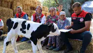 Muğla’da hayvancılığın geleceği için kritik hamle: Buzağı kayıplarına karşı 30 kişilik özel ekip