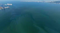 İzmir Körfezi’nde yine dış kaynaklı kirlilik alarmı