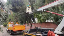 Efeler'de yeşil alanlarda kış hazırlığı: Olası kazalara karşı budama seferberliği