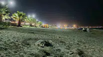 Sahillerde duygusal anlar: Caretta caretta yuvasını bulmak için üç kez denedi