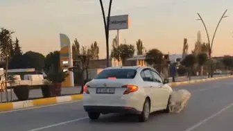 Akhisar’da korkutan kaza: Yola çıkan sürü otomobile çarptı