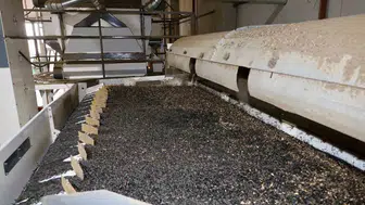 Emirdağ’da tarımsal üretimde kalite kontrolü: Tohumluk ayçiçeği için saha denetimi