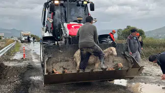 Dalaman'da doğa alarm verdi: Taşkın suları hayatı durdurdu