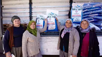 Denizli'de hayvancılıkta maliyet krizi tohum desteğiyle aşılıyor