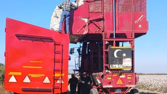 Beyaz altının yolculuğu tarlada başladı: Söke’de hasat mesaisi denetimlerle sürüyor