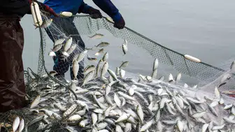 Muğla’da dış ticaret rüzgarı tersine döndü: İhracat rakamlarında rekor artış