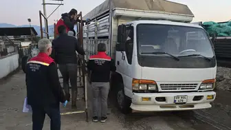 Nazilli'de hayvan pazarına sıkı takip: Eksik evrakı olana geçit yok