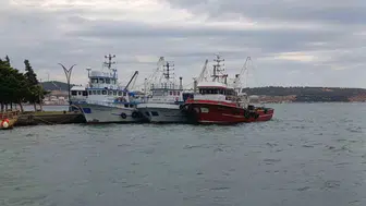 Aliağa'da deniz küstü: Poyraz balıkçıları kıyıya hapsetti