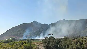 Dalaman’da tarım arazisinde panik anları: Ekipler alevlere geçit vermedi