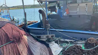 Didim'de deniz ekosistemi için kritik mesai: Ağlar tek tek incelendi