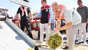 Menemen’de bağlar dile geldi: 18 bin tonluk bereket sofralara taşınıyor