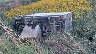 Aydın'da korkutan kaza: Kontrolden çıkan araç tarlaya devrildi