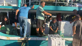 Didim sularında hamsi mesaisi: Gelecek nesiller için sıkı denetim