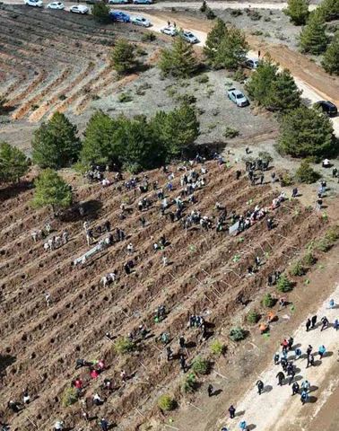 Kastamonu’da 210 bin fidan toprakla buluşturulacak