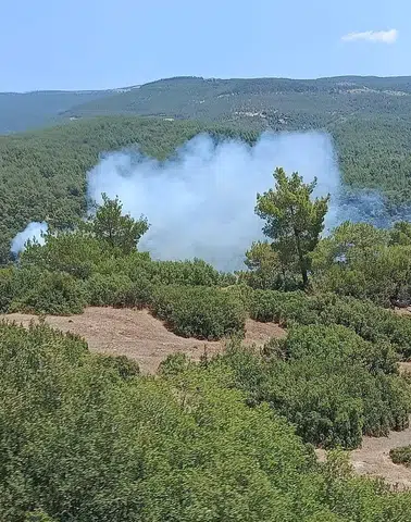 Çine ormanlarında korkutan yangın: Ekipler alevleri dize getirdi