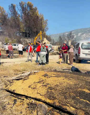 Korubükü’nde yangın sonrası tarım ekipleri sahada: Üreticinin imdadına devlet yetişti