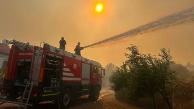 Dikili'de Zeytinlikten Ormana Sıçrayan Yangına Hızlı Müdahale Devam Ediyor
