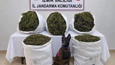 Tire kırsalında narkotik operasyonu: 54 kilo esrarla yakalandılar