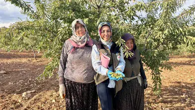 Afyonkarahisar’da tarımsal alarm: Bahçelerde gizli tehlikeye karşı yakın takip