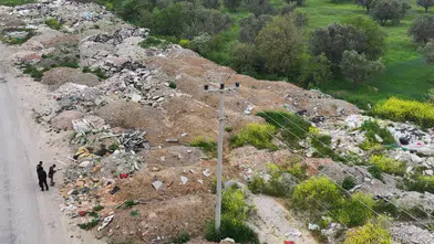 Manisa'da doğa talanına ağır fatura: 49 milyon liralık denetim darbesi
