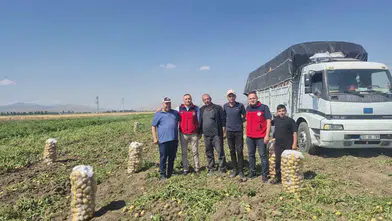 Dinar’da altın değerinde hasat: Çölovası’nın meşhur patatesi tarladan sofralara iniyor