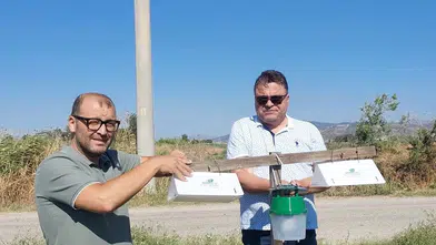 Efeler ovasında pamuk nöbeti: Zararlılar feromon tuzaklarıyla takibe alındı