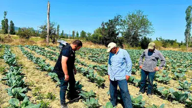 Afyonkarahisar’da bereketli hasat için uzman denetimi: Tarlalarda yakın takip