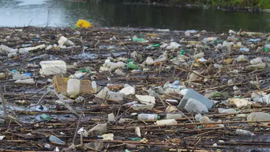 Menderes Nehri'ni korumak için kolları sıvadılar: Boş ambalajını getiren çiftçiye ödül var