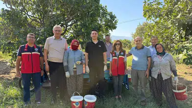 Buharkent’te İncir Hasadına Kaymakam Denetimi: Feslek’te Üreticiyle Tarla Sohbeti