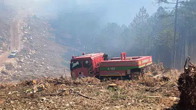 Yılanlı’daki Orman Yangınına Koordineli Müdahale