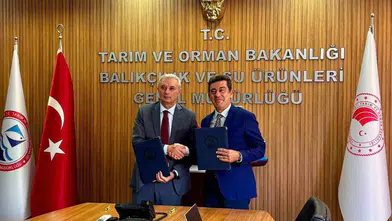 Beş Yıllık Dev Adım: Ege ve Akdeniz’in Sualtı Zenginliği İçin Tarihi İmza