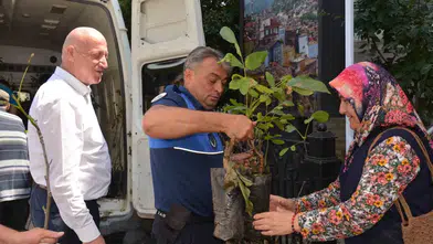 Babadağ'da tarımsal seferberlik: Ceviz fidanları toprakla buluştu