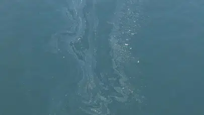 İzmir Körfezi’nde 7. Kirlilik Skandalı: Tersane Şüphesi