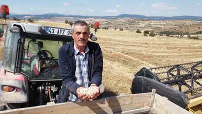 Kütahya’da Yerli Nohutun Yeni Rotası: Borsa-20 Sahada İddialı