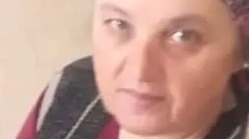 Zonguldak'ta eşek arısı sokması can aldı