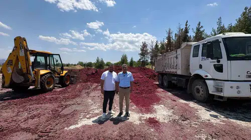 Çal'da hayvancılığa nefes aldıran hamle: Üreticiye pancar küspesi desteği