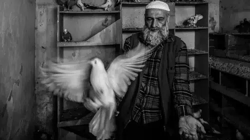 Manisalı fotoğrafçının objektifinden Ara Güler’e vefa: Uluslararası yarışmada ödül gururu
